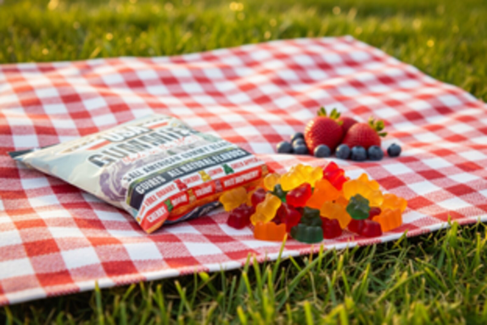 Backyard picnic